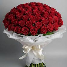 Букет 101 Красная роза Блэк Мэджик в Юрлово