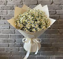 Букет цветов из:  Ромашки #REPLACE_PRED# Юрлово